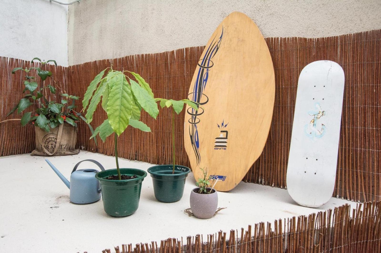 Altzoan Zarauz Tourist Apartments Con Aparcamiento Gratis 외부 사진